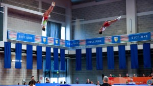 sfe03825 copia copia